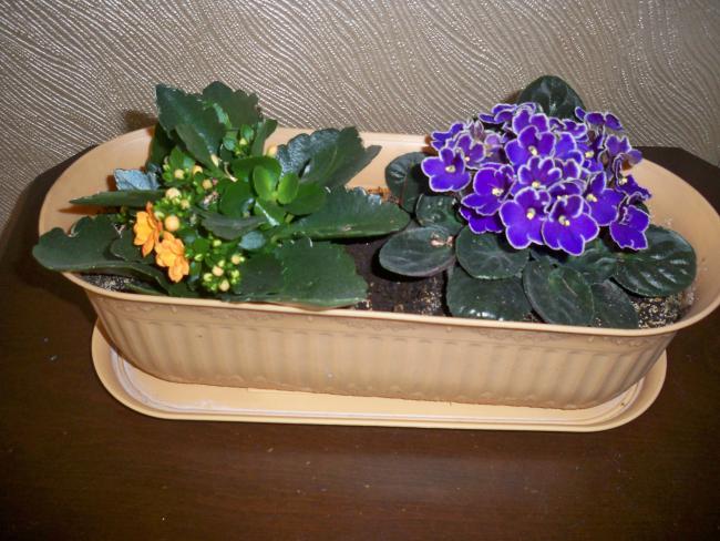 Name:  RESİMLER1 451.jpg
Views: 1288
Size:  56.1 KB