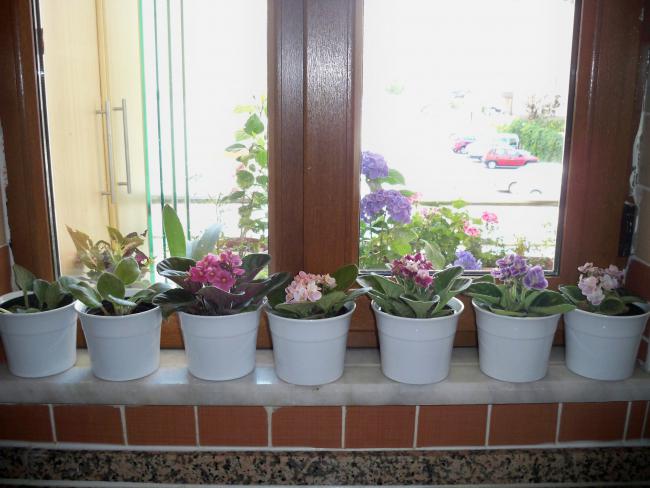 Name:  RESİMLER1 520.jpg
Views: 1583
Size:  44.9 KB
