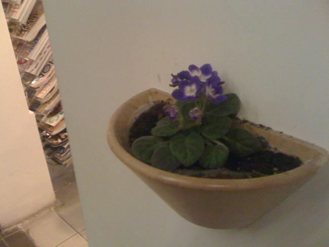 Name:  fotoraf (22).jpg
Views: 1557
Size:  23.8 KB