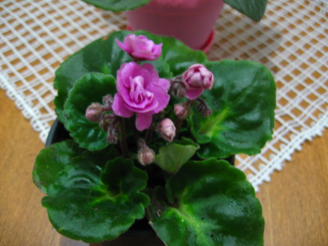 Name:  yeni (1).JPG
Views: 2959
Size:  58.4 KB
