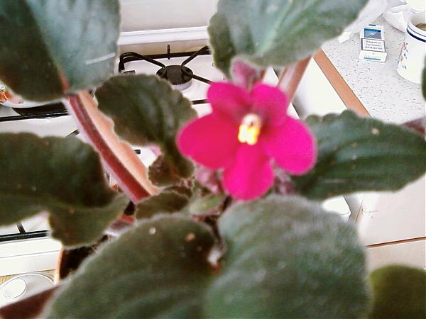 Name:  1128071017-00.jpg
Views: 2053
Size:  37.5 KB