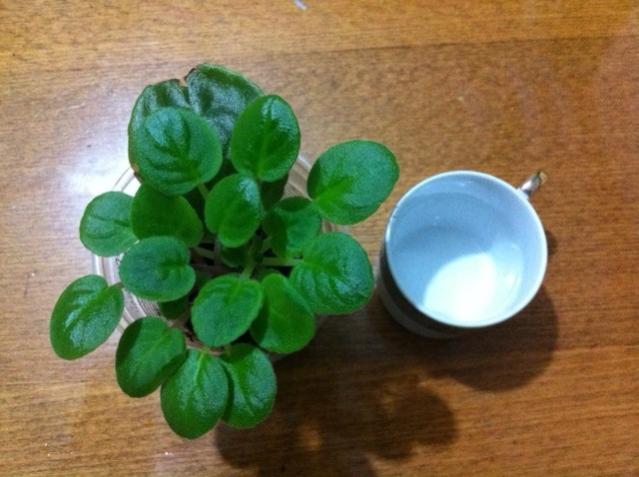 Name:  fotoğraf (32).jpg
Views: 1499
Size:  41.6 KB