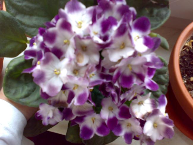Name:  14042012072.jpg
Views: 1647
Size:  39.6 KB