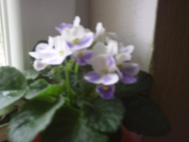 Name:  116.jpg
Views: 1413
Size:  20.3 KB