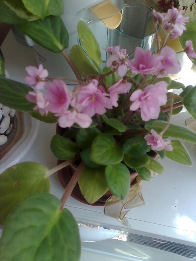 Name:  012.jpg
Views: 1136
Size:  54.9 KB