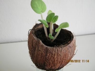 Name:  013.jpg
Views: 32009
Size:  13.1 KB