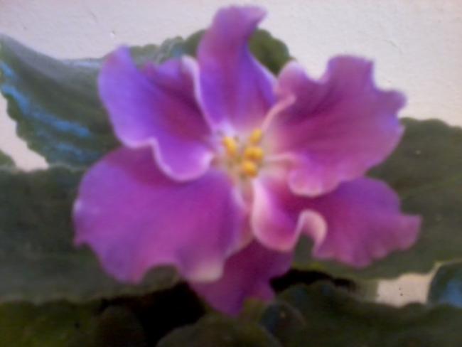Name:  Fotoğraf0184.jpg
Views: 1808
Size:  21.2 KB