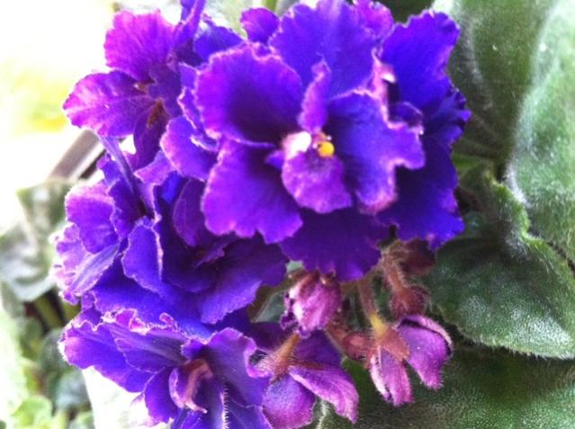 Name:  fotoğraf (72).jpg
Views: 1534
Size:  49.7 KB