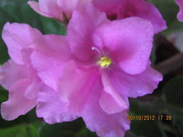 Name:  094.jpg
Views: 1799
Size:  31.5 KB