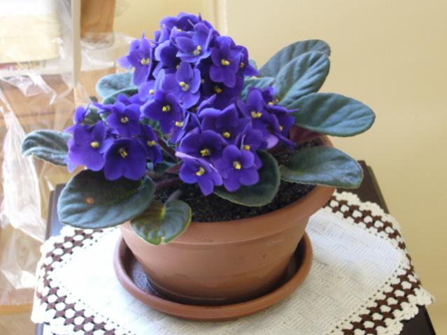 Name:  1-Resimesra 098.jpg
Views: 1511
Size:  39.7 KB