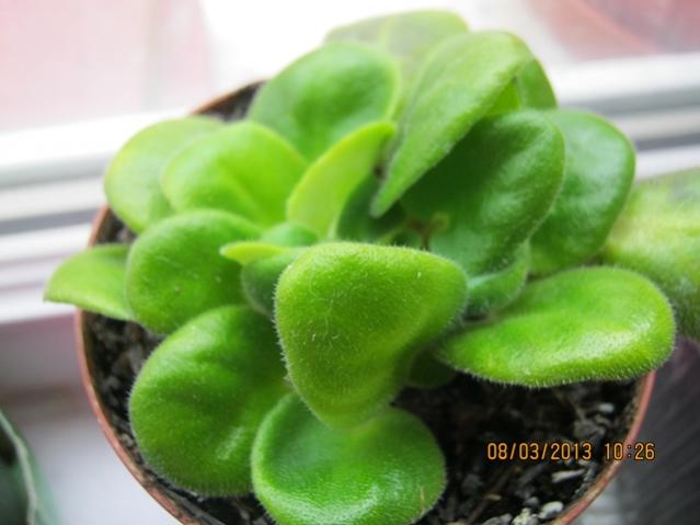 Name:  002.jpg
Views: 3222
Size:  32.0 KB