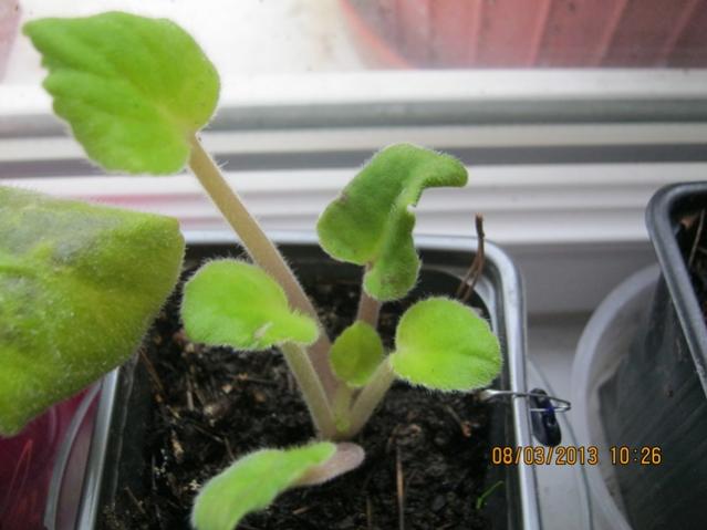 Name:  003.jpg
Views: 3221
Size:  34.5 KB