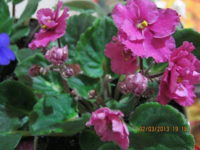 Name:  022.jpg
Views: 1132
Size:  40.9 KB