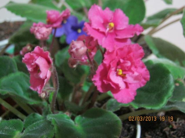 Name:  023.jpg
Views: 1157
Size:  36.4 KB