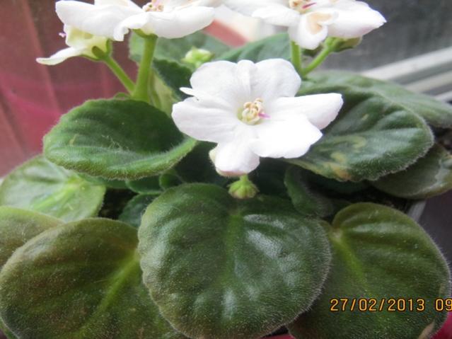 Name:  007.jpg
Views: 1144
Size:  39.7 KB