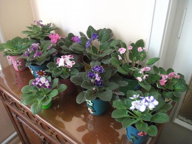 Name:  DSCF5340.jpg
Views: 16529
Size:  47.6 KB