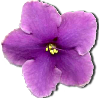 Name:  02.png
Views: 4172
Size:  49.1 KB