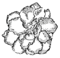 Name:  03.png
Views: 3155
Size:  37.0 KB