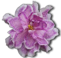 Name:  04.png
Views: 3099
Size:  52.2 KB