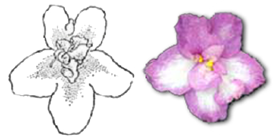 Name:  56.png
Views: 3132
Size:  59.9 KB