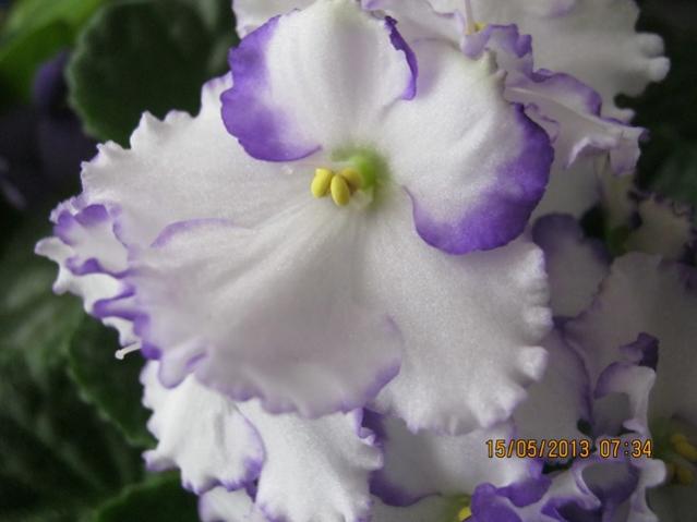 Name:  Resim 038.jpg
Views: 1280
Size:  29.9 KB