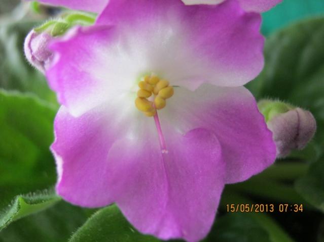 Name:  Resim 040.jpg
Views: 1318
Size:  26.9 KB