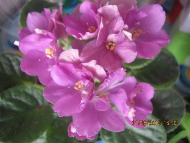 Name:  Resim 071.jpg
Views: 1301
Size:  33.6 KB