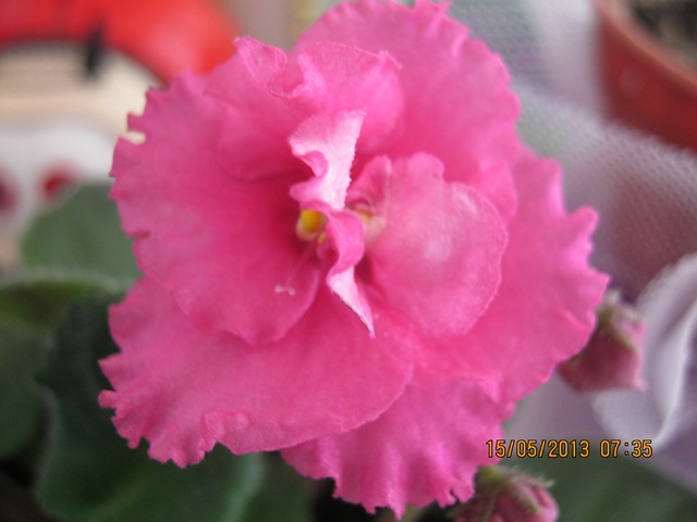 Name:  Resim 043.jpg
Views: 1289
Size:  68.2 KB