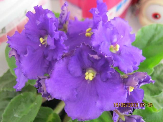 Name:  Resim 044.jpg
Views: 1567
Size:  35.0 KB