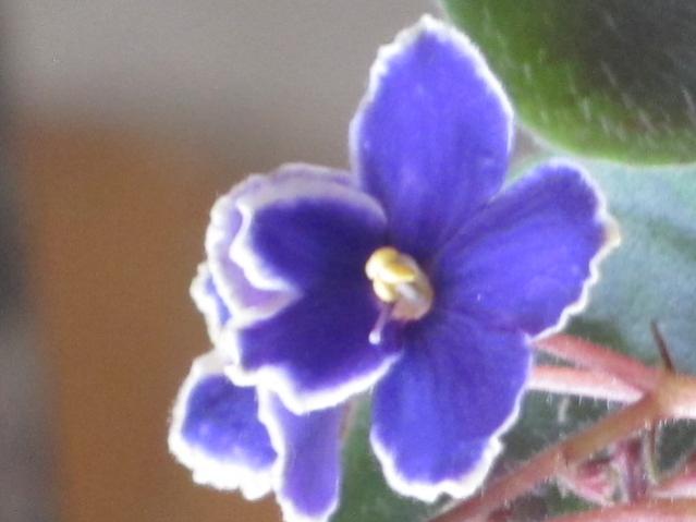Name:  Resim 260.jpg
Views: 2912
Size:  28.2 KB