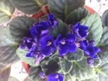 Name:  fotoraf-9.JPG
Views: 1076
Size:  13.8 KB