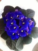 Name:  fotoraf-10.JPG
Views: 1086
Size:  13.5 KB