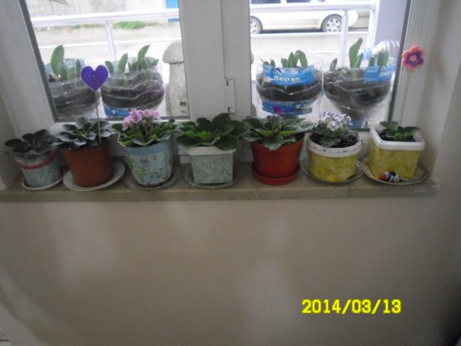 Name:  SAM_2516.jpg
Views: 3673
Size:  31.9 KB