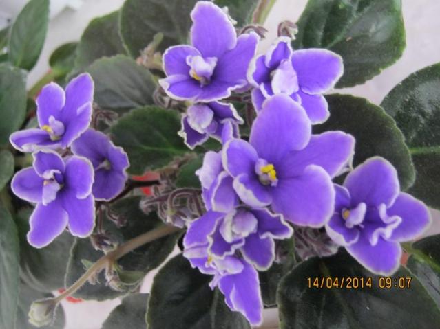 Name:  004.jpg
Views: 982
Size:  43.4 KB