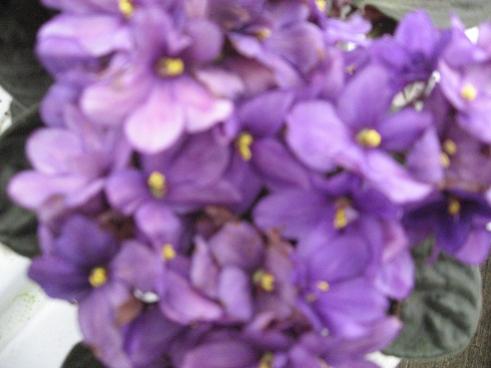 Name:  037.jpg
Views: 3946
Size:  22.5 KB