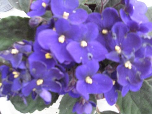 Name:  038.jpg
Views: 3978
Size:  24.0 KB