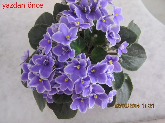 Name:  IMG_1871.jpg
Views: 1986
Size:  40.8 KB