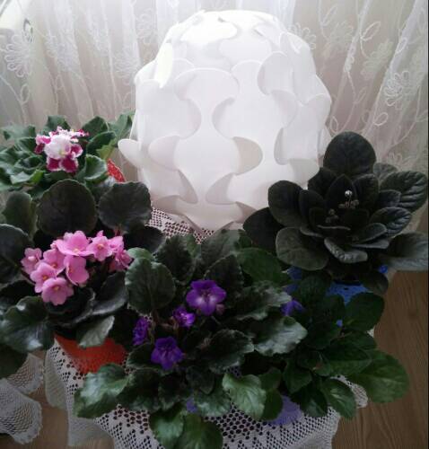 Name:  uploadfromtaptalk1458476337749.jpg
Views: 1123
Size:  31.6 KB