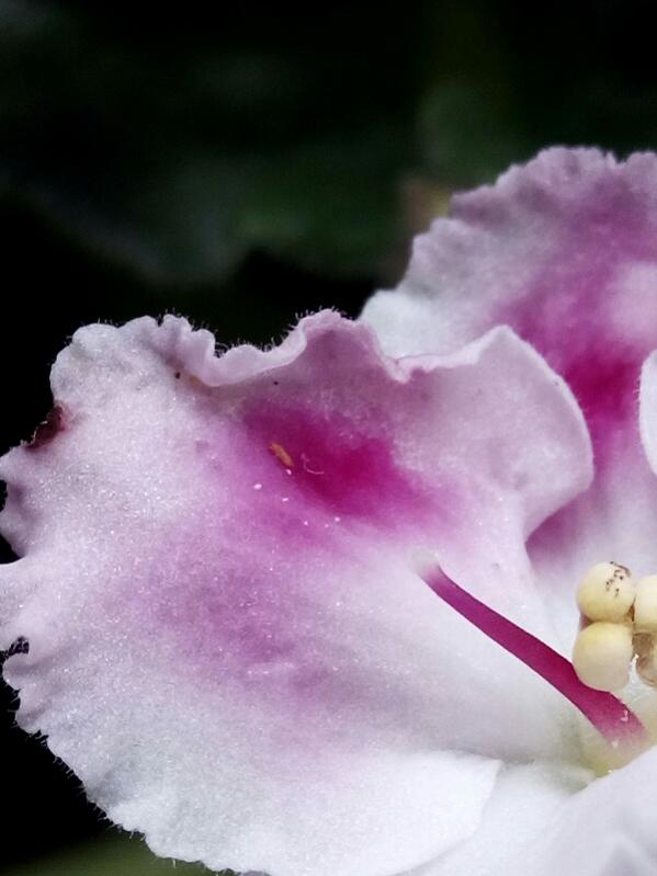 Name:  IMG_20161027_095554_67CS-600x800.jpg
Views: 1604
Size:  43.3 KB