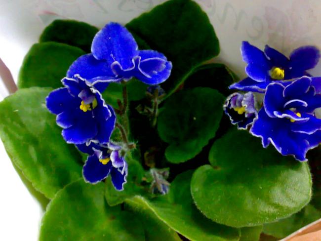 Name:  18032009570.jpg
Views: 1994
Size:  39.8 KB