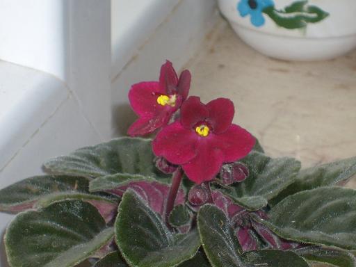 Name:  S6304223.JPG
Views: 1683
Size:  58.6 KB