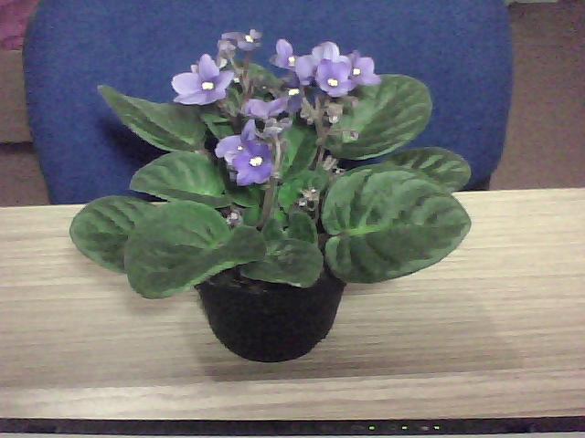 Name:  IMG000051.jpg
Views: 1038
Size:  38.6 KB