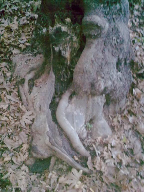 Name:  31102010_010.jpg
Views: 8529
Size:  71.7 KB