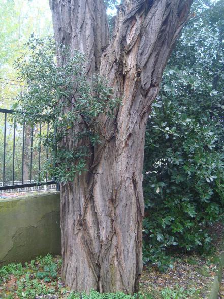 Name:  Aa gvde ve kkleri 19.jpg
Views: 2289
Size:  73.1 KB