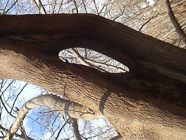 Name:  DSC00308.JPG
Views: 1925
Size:  62.1 KB