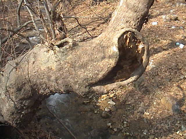 Name:  DSC00310.JPG
Views: 2361
Size:  60.5 KB