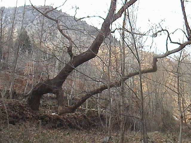 Name:  DSC00322.JPG
Views: 2302
Size:  62.8 KB
