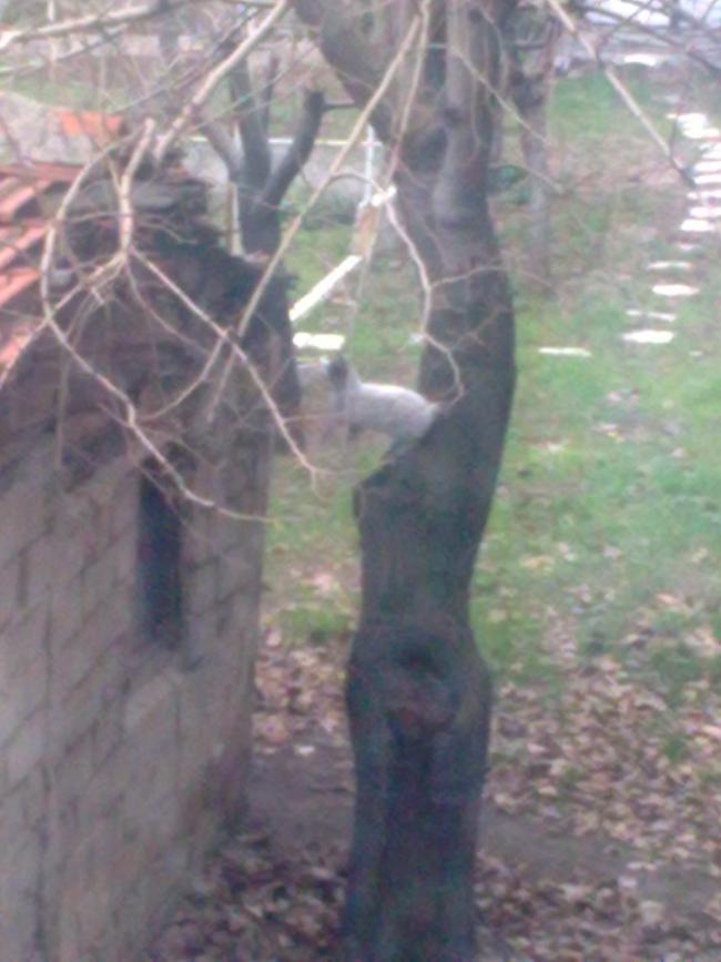 Name:  12012011_001.jpg
Views: 1222
Size:  56.3 KB