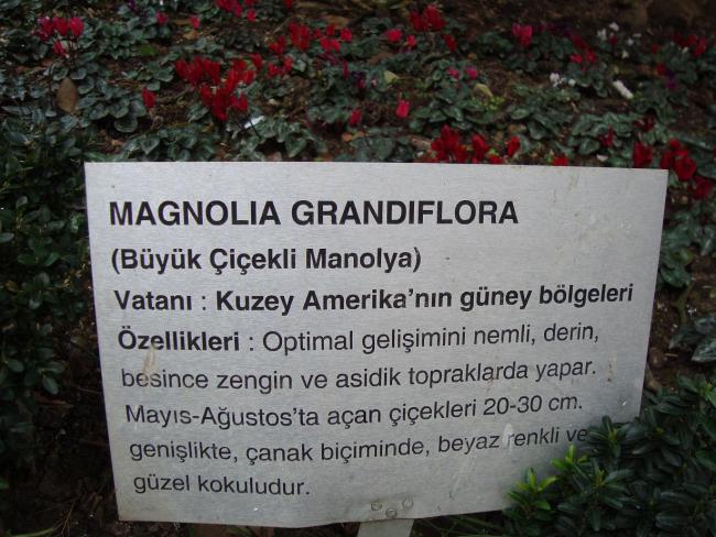 Name:  Aa gvde ve kkleri 45.jpg
Views: 2844
Size:  61.9 KB