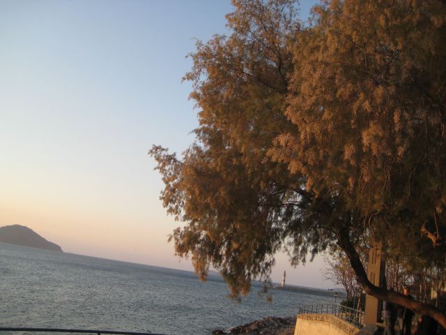 Name:  IMG_4142.JPG
Views: 1376
Size:  59.1 KB